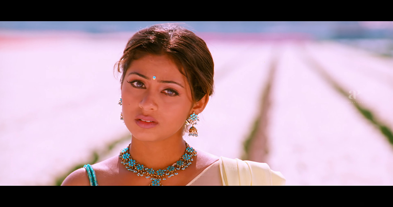 VideoCapture_20241122-195808