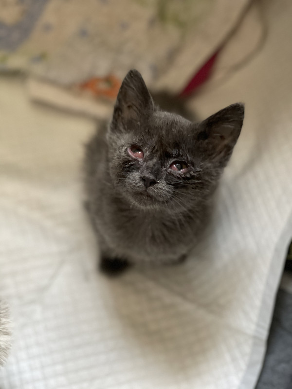 D3EC4B22-18DD-4535-B98A-3CF1FB1E1900