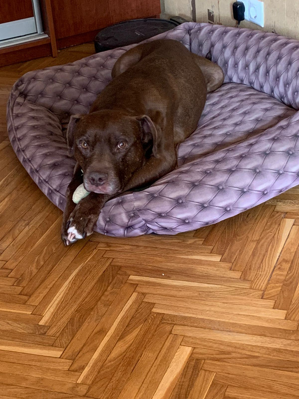 754348DC-750A-40B6-8868-EB0293A2035B