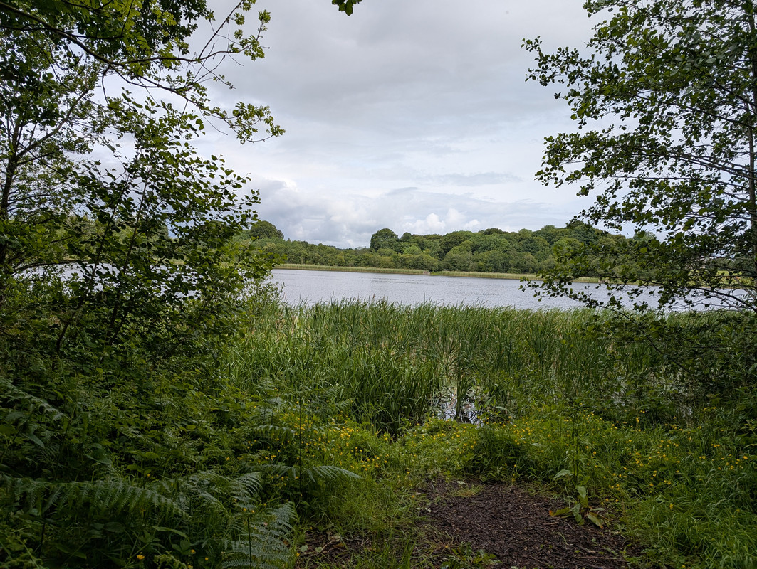 Blarney Castle Lake