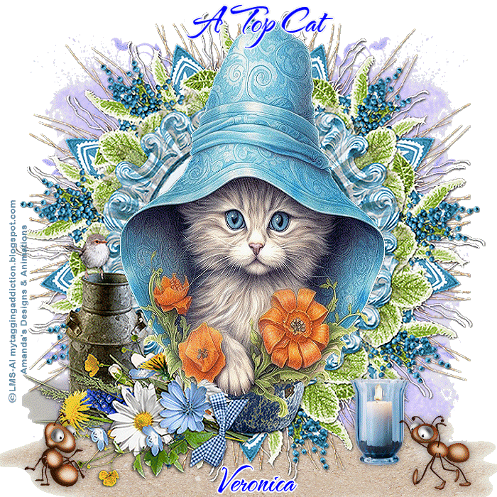 23LMSKittyInHatTopCatVeronica-vi