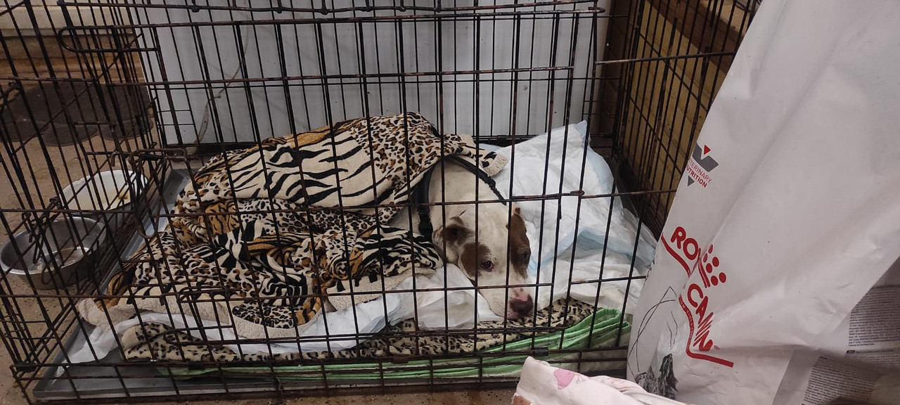 E8AA5D3B-9C60-4DC7-9DCA-2D80EC3AB3D1