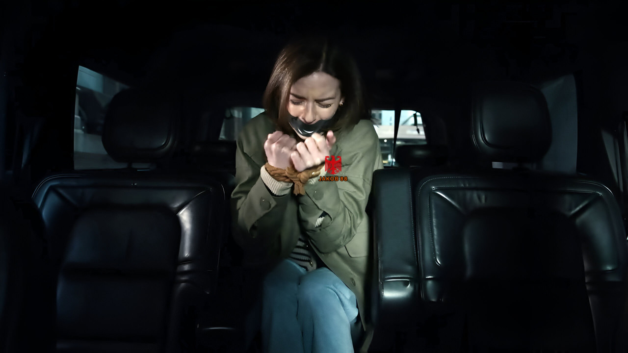 Anni Krueger 3 - The Equalizer S04E09