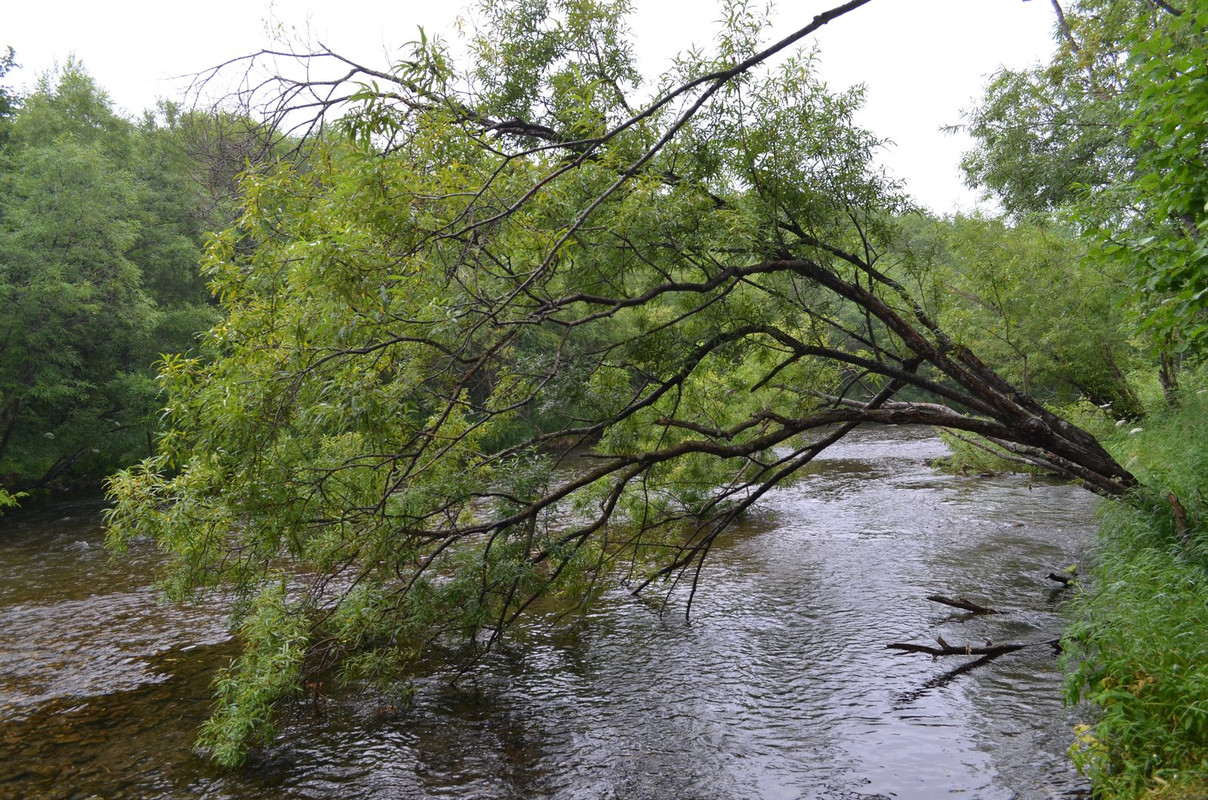DSC-6868.jpg