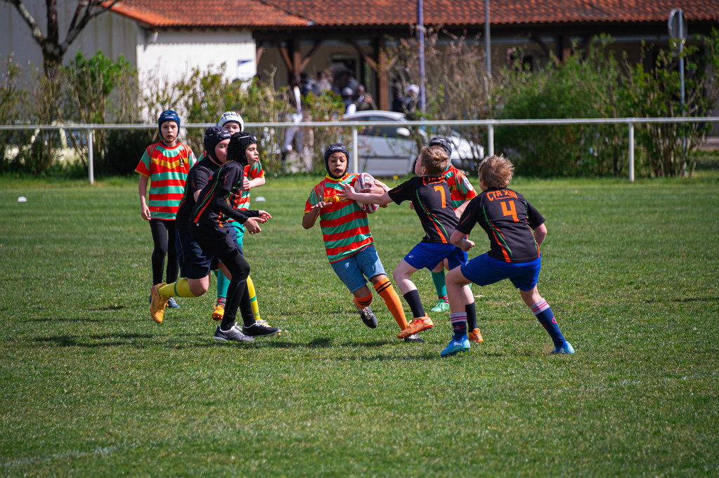 tournoi-de-latlantique-2026-adonis-griffon-19-55181695290-l