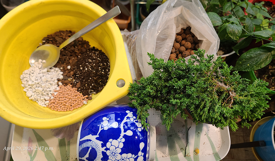 [Image: 20260429-144711.jpg]