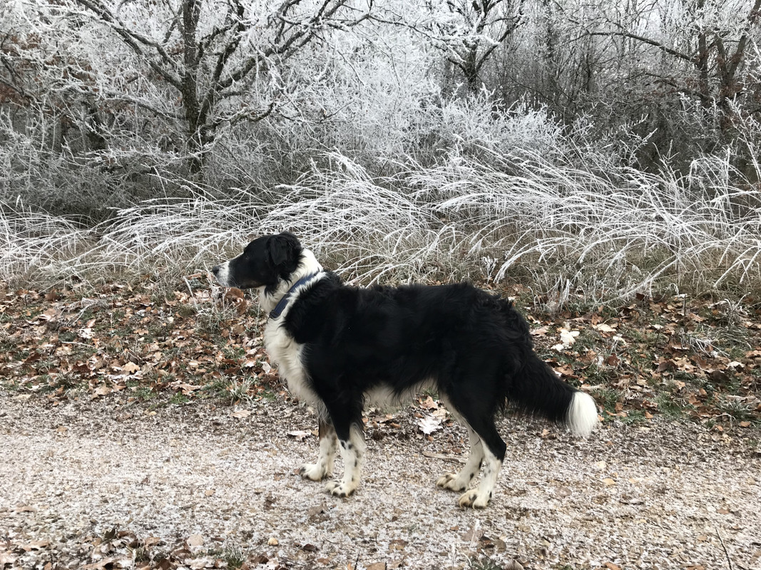 D1952C84-B809-42C5-9478-181759230145