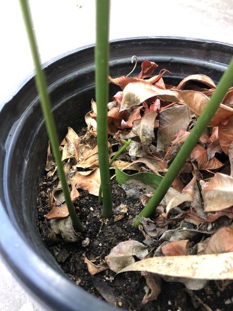 EE7FDC07-59A1-41D8-A5C5-79B967543954