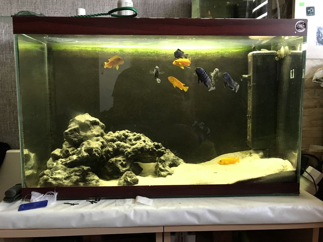 652DF440-AD83-4BCE-BC1D-2D8741E75321