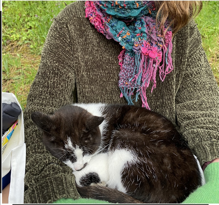 AA3A2FE2-0FBD-46F9-85DF-BB3A553E81B0