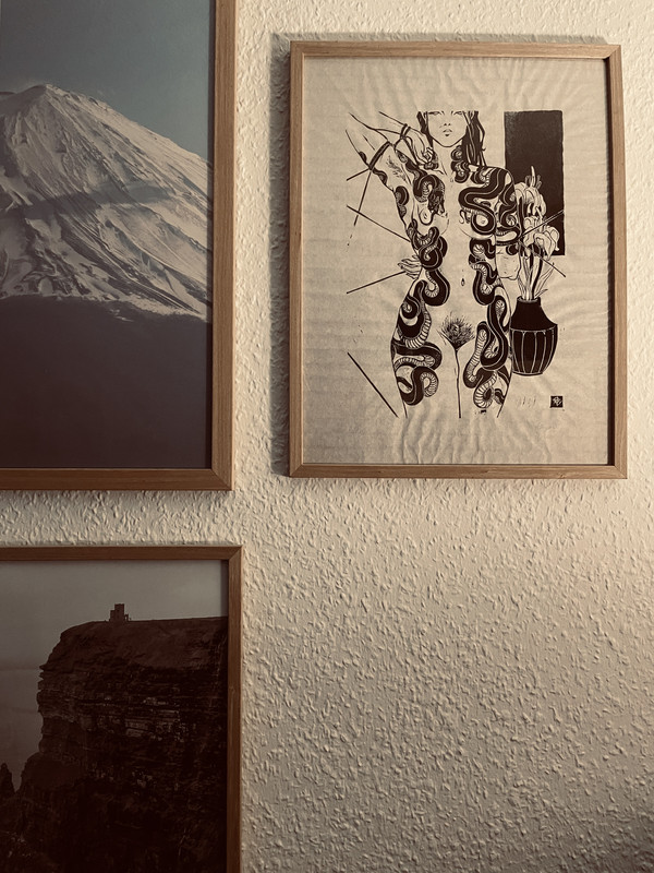 IMG-0356.jpg