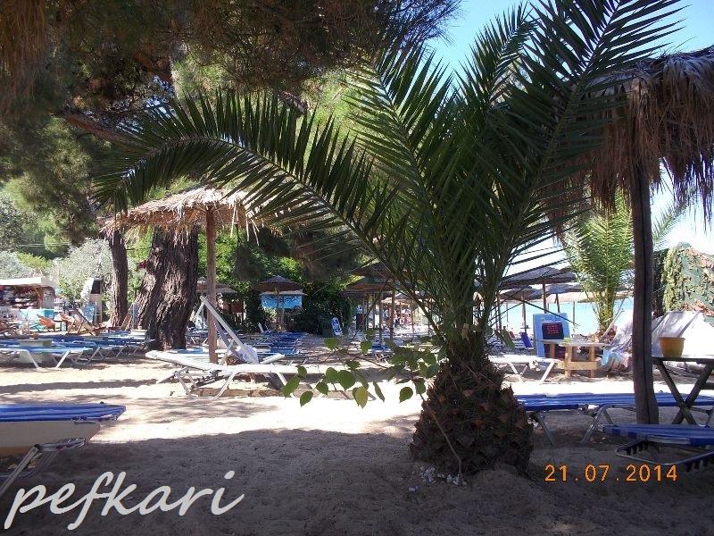 Slika