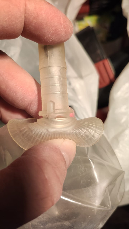 WhatsApp Image 2021-08-14 at 19.53.52 (1)