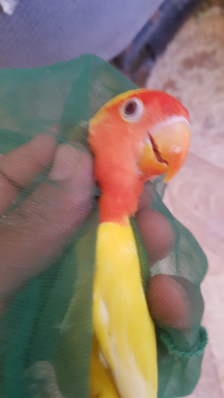 ٢?١٩?٦٢٨_١٨٤٥٣٤