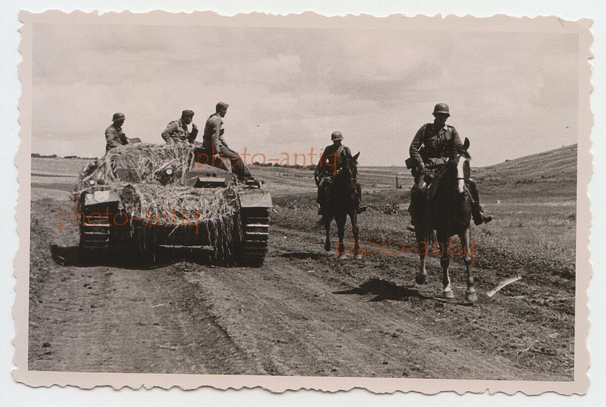 foto sturmgeschütz mit panzer soldaten, hay camo, pferde, helme