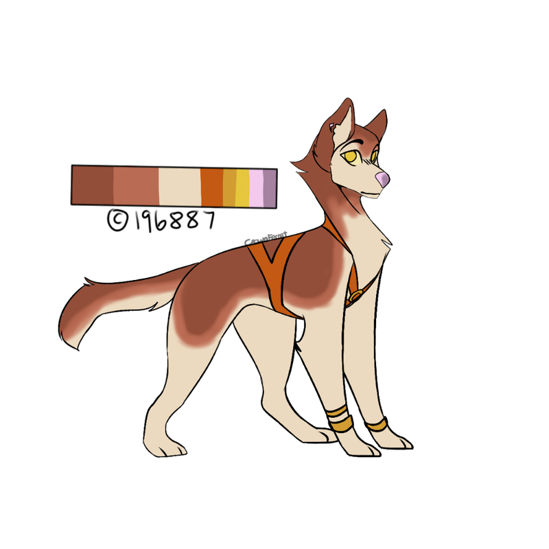 Sasha.png