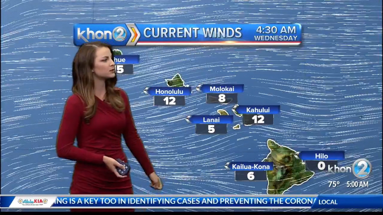 15 July - 15.30.00 - Wake up 2-day Hawaii's Morning News..ts_snapshot_33.37.115