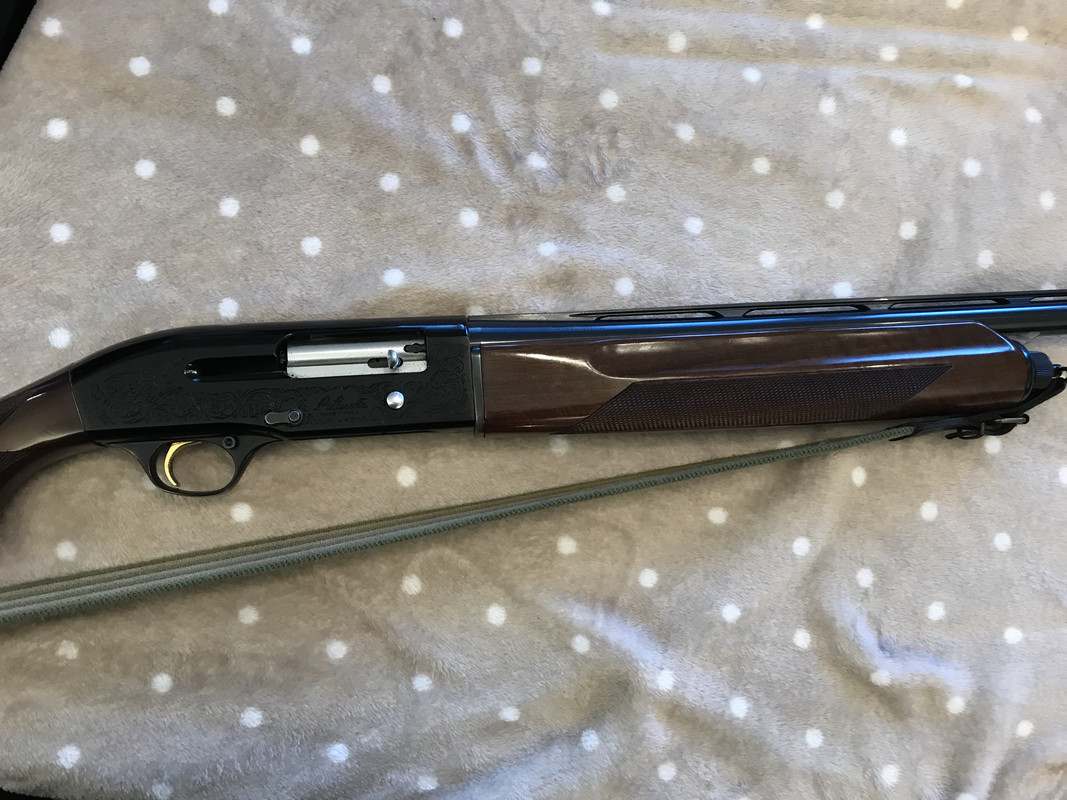 A7824E9A-FBF4-4517-A186-416B42D9CC63