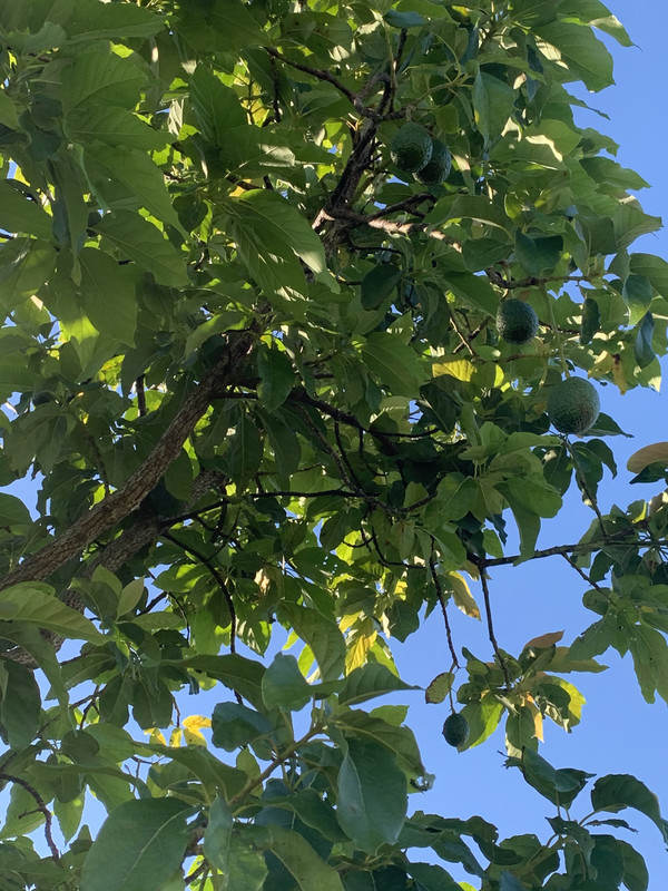 97EE6B14-DFB0-4614-BB98-499D241738CF