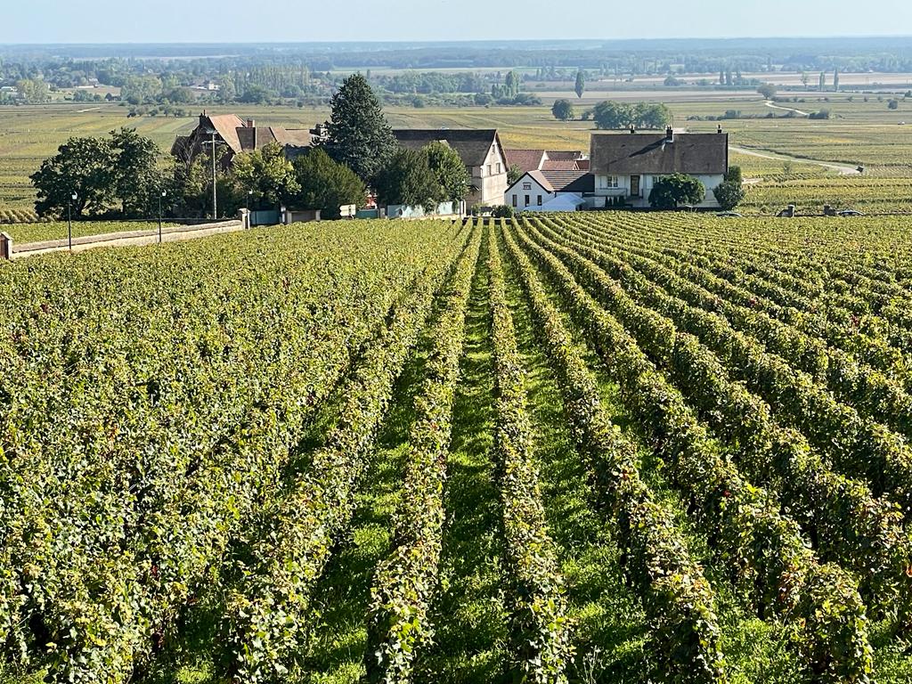 2480F1C2-E5F3-49C8-8668-80FEE9F7B165