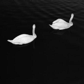 [Slika: Cashmere-Ariana-Grande-Adore-folder.jpg]