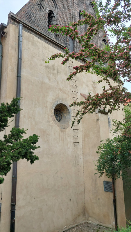 07.33 - 20240503_113436 (TomaszK)