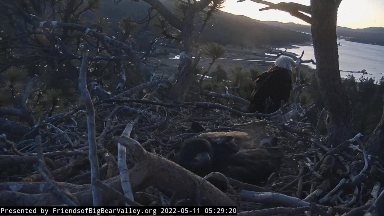 Webp.net-gifmaker (1)