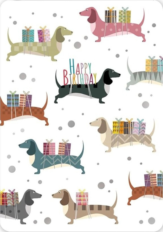 [Image: Anniversaire-teckel-44.jpg]