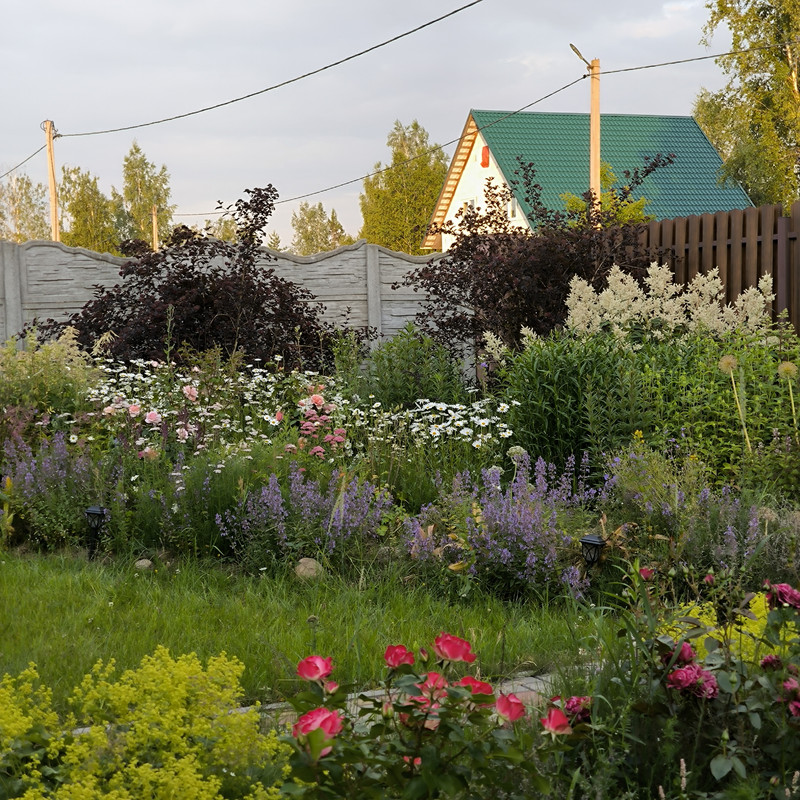 IMG_20250706_203523
