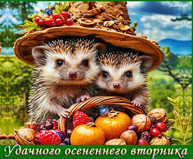 Удачного осеннего вторника