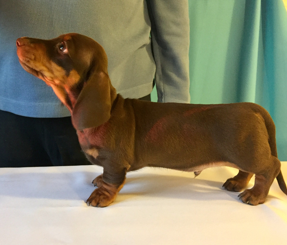 C4B790BB-AFBB-45AC-B98A-2176137F8F71