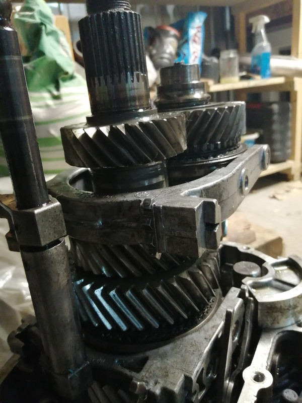 IMG-20210402-201359.jpg