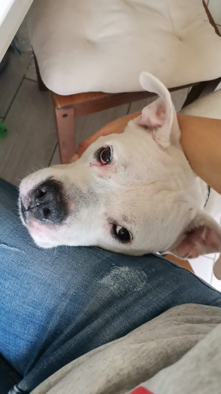 961F85AB-150F-48CB-8536-311CA47F0E9D