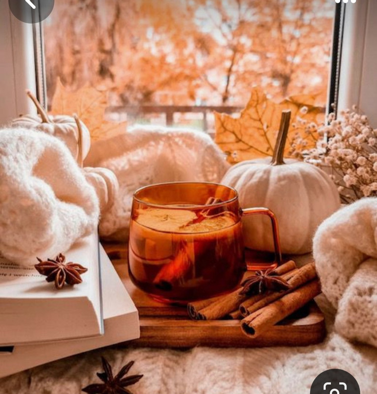 Screenshot_20230905_015934_Pinterest