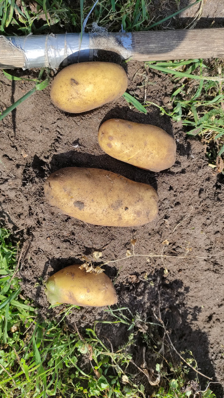 IMG-20250816-135443.jpg