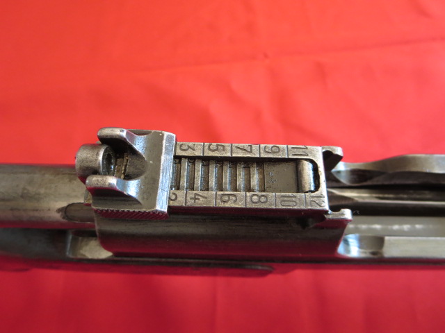 IMG-3555