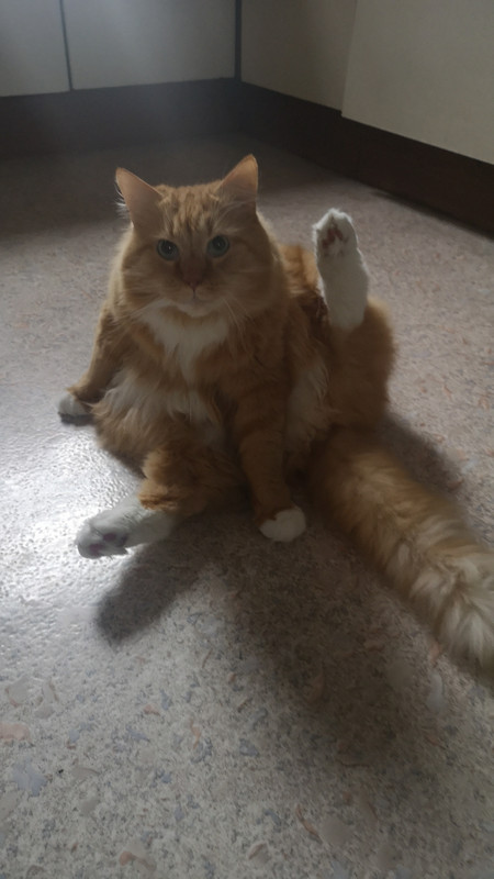 IMG-0d9c17ae086537c84f9cc62ce60ed460-V.j