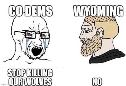 9rer2z.jpg