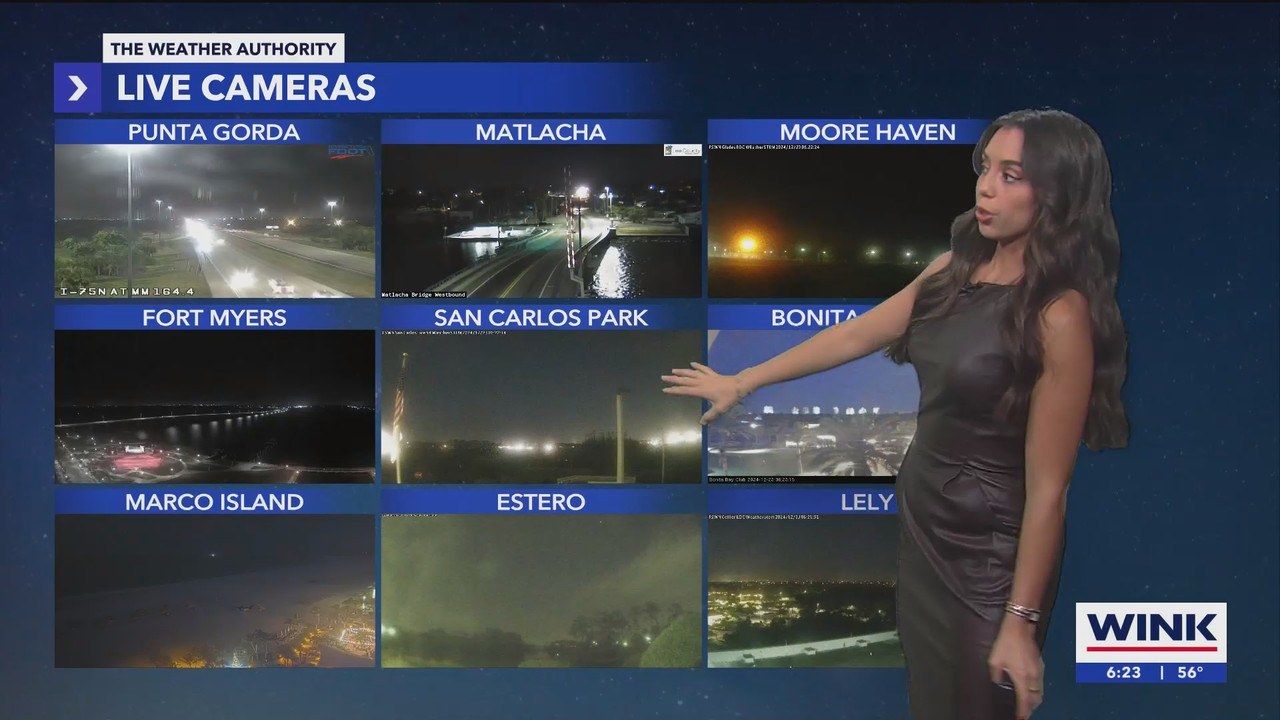 WINK News at 600am_20241223_11001130.ts_snapshot_24.06.836