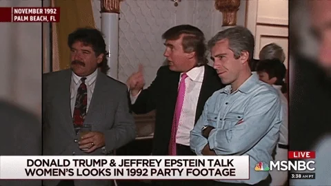 Trump-Epstein-1-Aef-IDNa1-G3sv-Yr-NQA