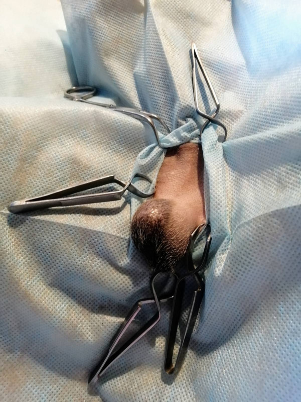 изображение_viber_2020-05-22_15-57-56