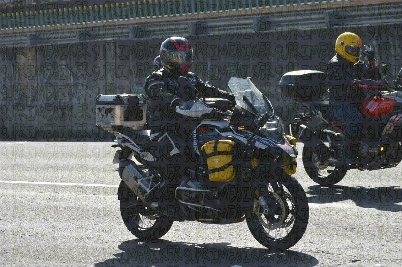 DSC 0233