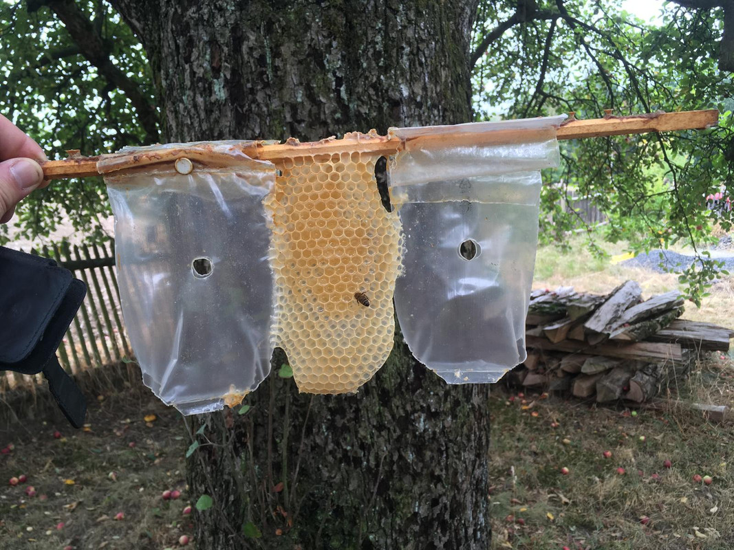 E2BC85D4-80E3-4B00-88E2-32E5C8072A96