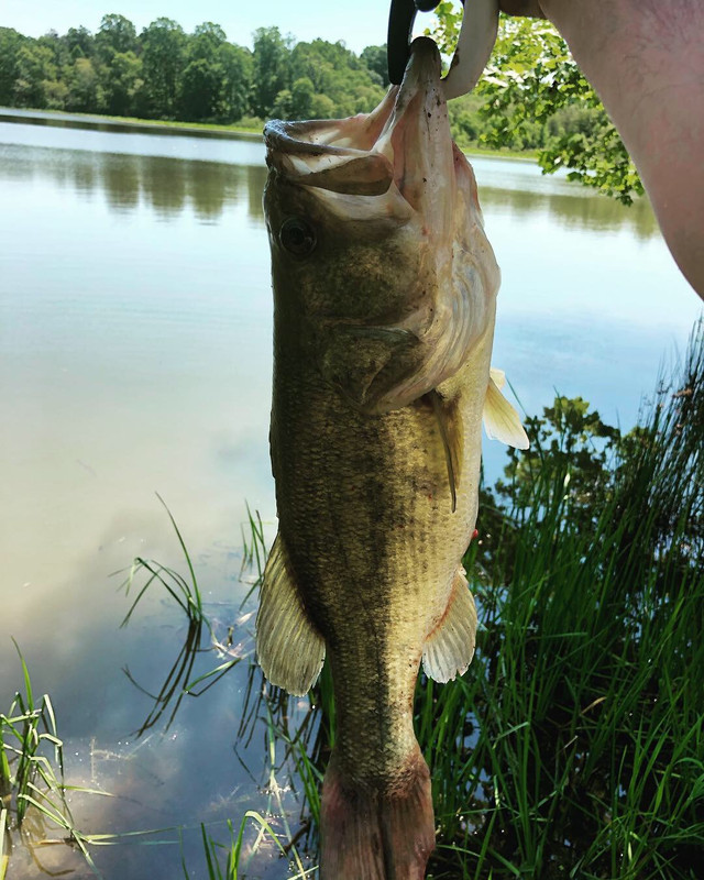 CC773919-8E28-4CF0-9834-278FAEFF3DF8