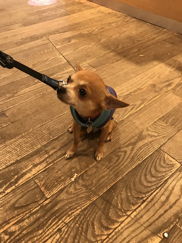 51F5A238-DC7B-4D27-BDEE-EEFD954EC55C