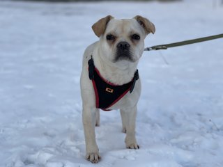 2DD3398C-A690-4DD6-B667-115EED5479A0