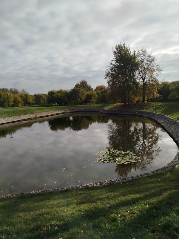 последнее с айфона 104