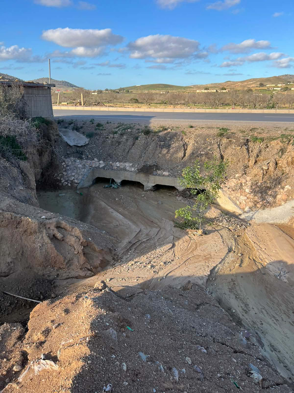 645764116-1444316290958047-9020643750434009307-n