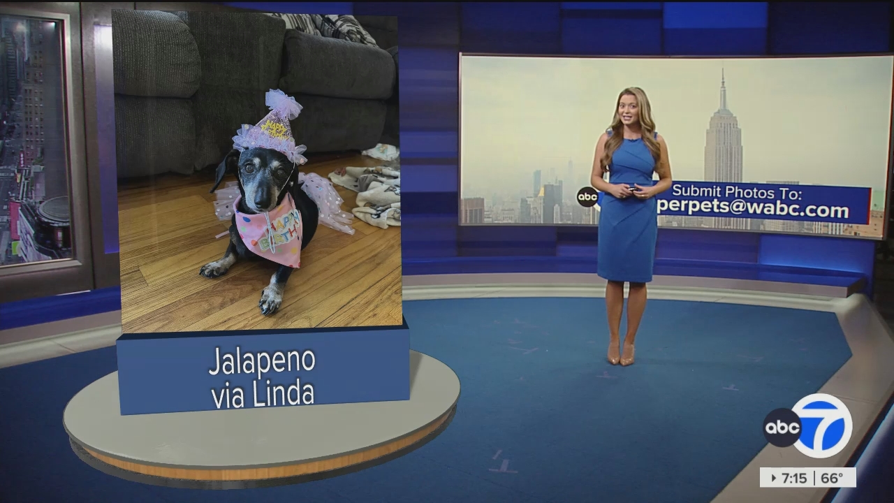 Eyewitness News Sunday Morning_20240526_11001230.ts_snapshot_01.17.07.624