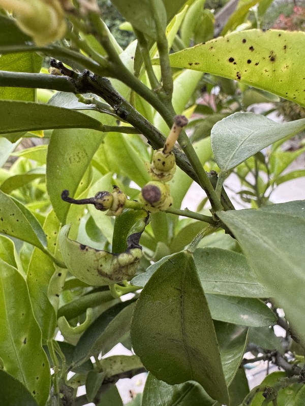 84174312-E93F-4D19-8931-BEF0816DFA26